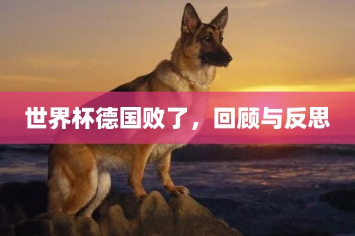 世界杯德国败了，回顾与反思