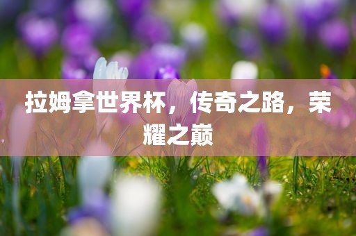 拉姆拿世界杯，传奇之路，荣耀之巅
