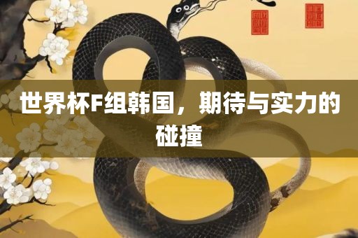 世界杯F组韩国，期待与实力的碰撞