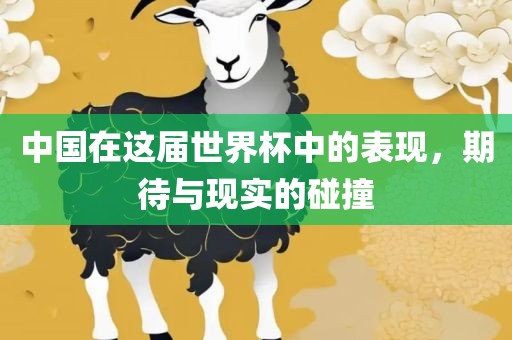 中国在这届世界杯中的表现，期待与现实的碰撞