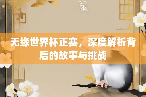 无缘世界杯正赛，深度解析背后的故事与挑战