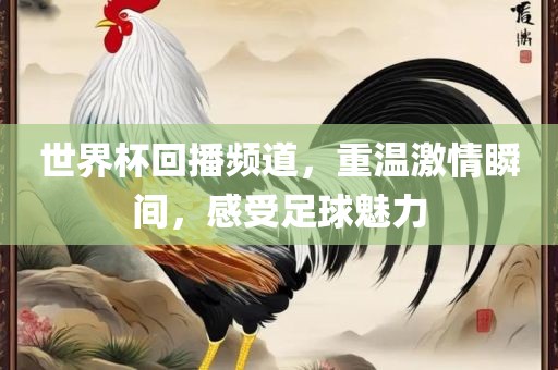 世界杯回播频道，重温激情瞬间，感受足球魅力