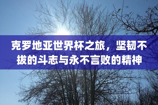 克罗地亚世界杯之旅，坚韧不拔的斗志与永不言败的精神