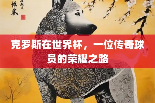 克罗斯在世界杯，一位传奇球员的荣耀之路