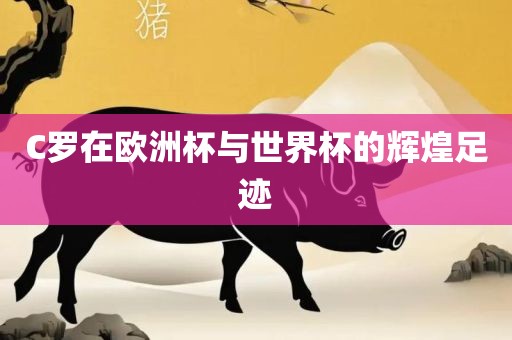 C罗在欧洲杯与世界杯的辉煌足迹