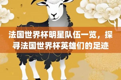 法国世界杯明星队伍一览，探寻法国世界杯英雄们的足迹