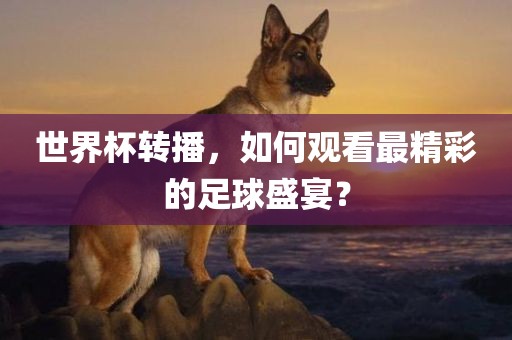 世界杯转播，如何观看最精彩的足球盛宴？丹东日丰电子有限公司