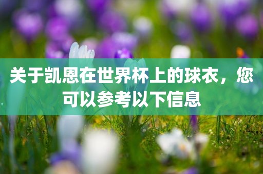 关于凯恩在世界杯上的球衣，您可以参考以下信息
