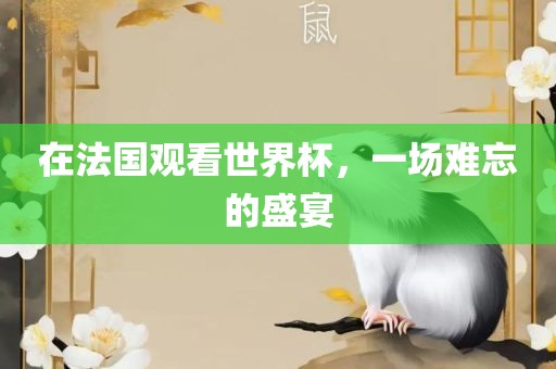 在法国观看世界杯，一场难忘的盛宴