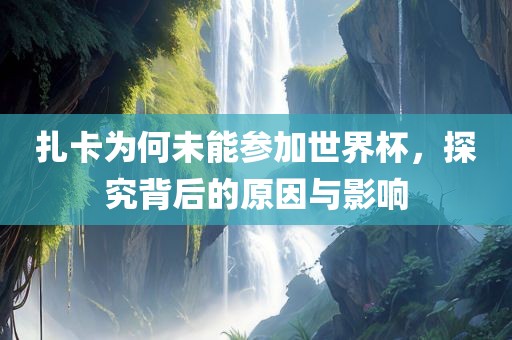 扎卡为何未能参加世界杯，探究背后的原因与影响