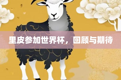 里皮参加世界杯，回顾与期待