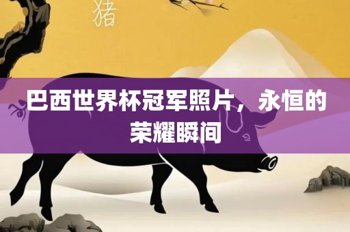 巴西世界杯冠军照片，永恒的荣耀瞬间