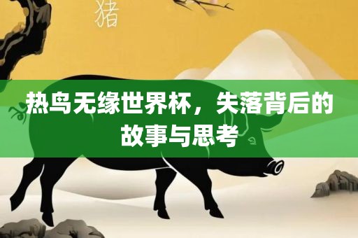 热鸟无缘世界杯，失落背后的故事与思考
