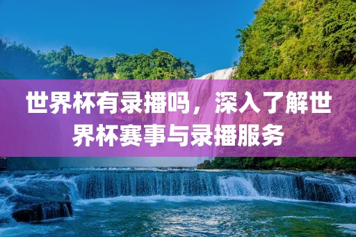 世界杯有录播吗，深入了解世界杯赛事与录播服务