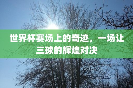 世界杯赛场上的奇迹，一场让三球的辉煌对决