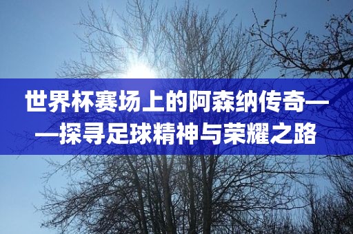 世界杯赛场上的阿森纳传奇——探寻足球精神与荣耀之路