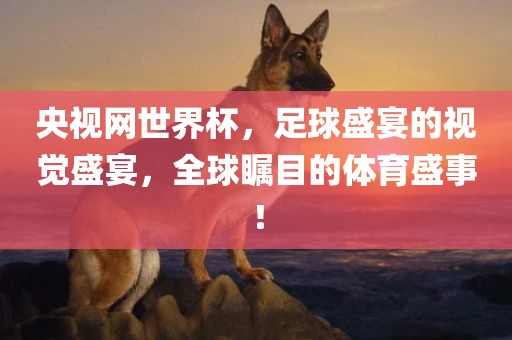 央视网世界杯，足球盛宴的视觉盛宴，全球瞩目的体育盛事！