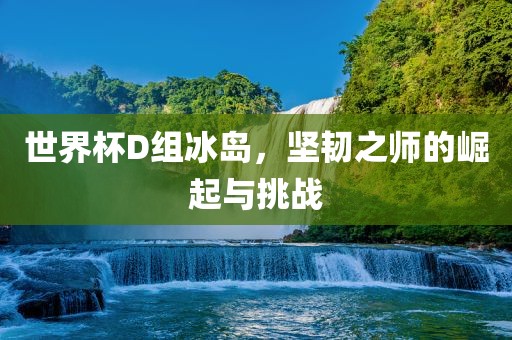 世界杯D组冰岛，坚韧之师的崛起与挑战