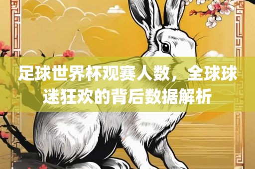 足球世界杯观赛人数，全球球迷狂欢的背后数据解析