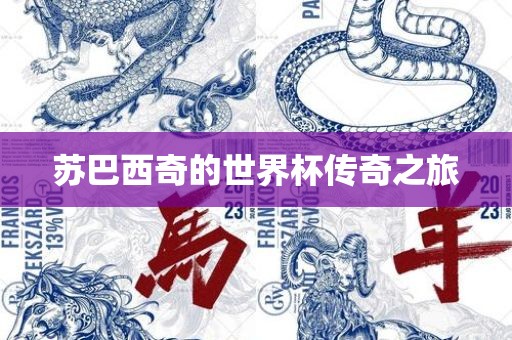苏巴西奇的世界杯传奇之旅