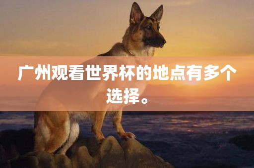 广州观看世界杯的地点有多个选择。