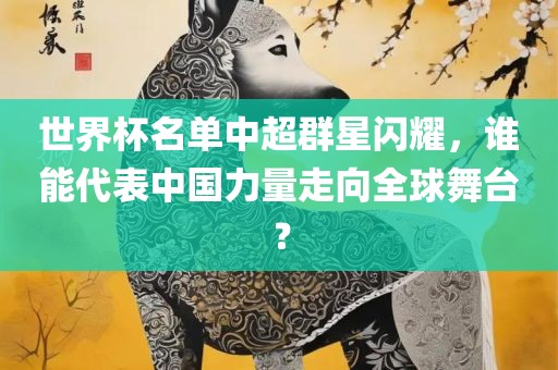 世界杯名单中超群星闪耀，谁能代表中国力量走向全球舞台？