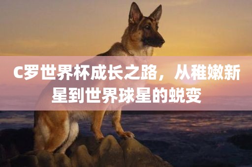 C罗世界杯成长之路，从稚嫩新星到世界球星的蜕变