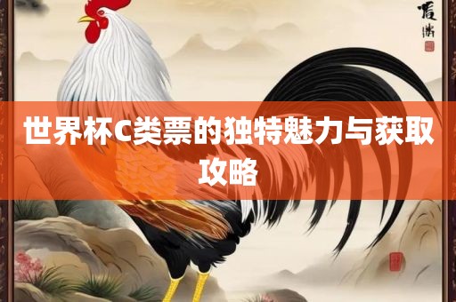 世界杯C类票的独特魅力与获取攻略