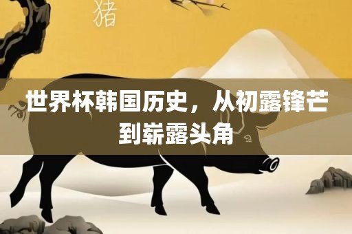 世界杯韩国历史，从初露锋芒到崭露头角