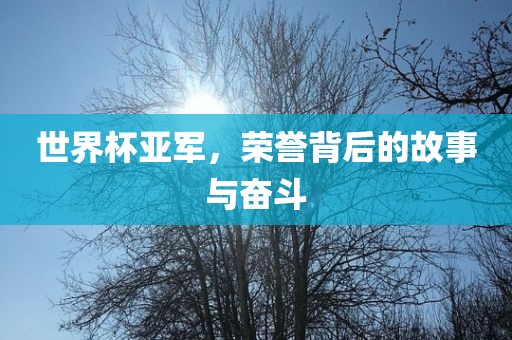 世界杯亚军，荣誉背后的故事与奋斗