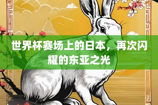 世界杯赛场上的日本，再次闪耀的东亚之光
