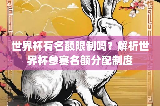 世界杯有名额限制吗？解析世界杯参赛名额分配制度