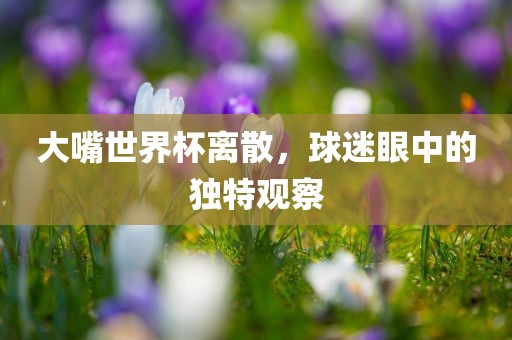大嘴世界杯离散，球迷眼中的独特观察