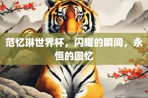 范忆琳世界杯，闪耀的瞬间，永恒的回忆