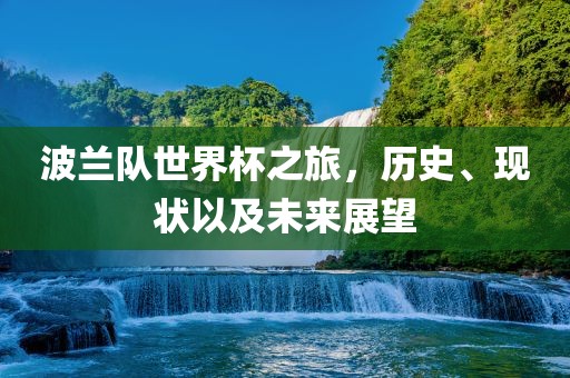 波兰队世界杯之旅，历史、现状以及未来展望