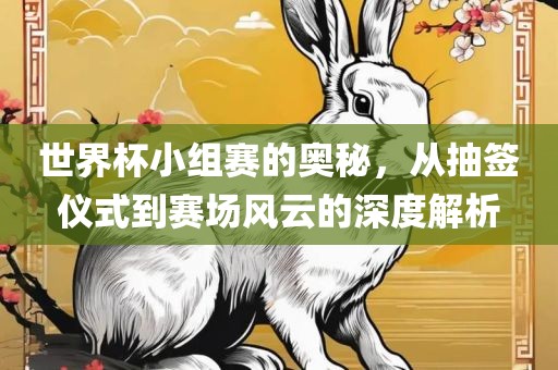 世界杯小组赛的奥秘，从抽签仪式到赛场风云的深度解析