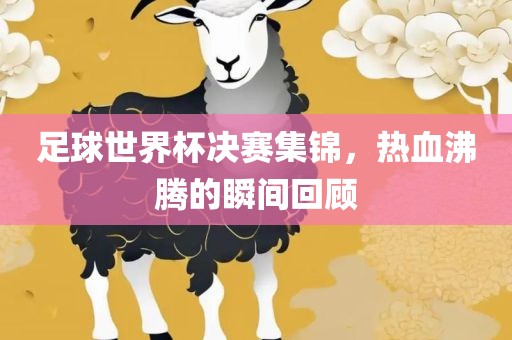 足球世界杯决赛集锦，热血沸腾的瞬间回顾