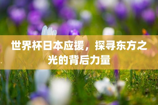 世界杯日本应援，探寻东方之光的背后力量