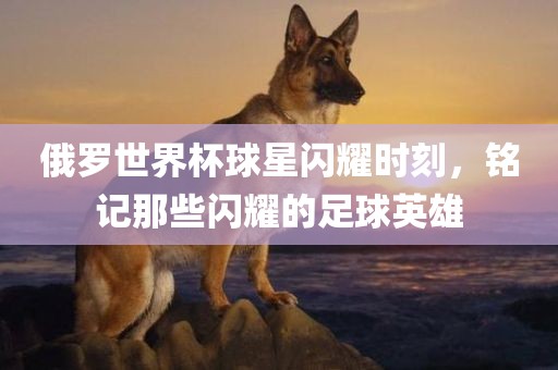俄罗世界杯球星闪耀时刻，铭记那些闪耀的足球英雄