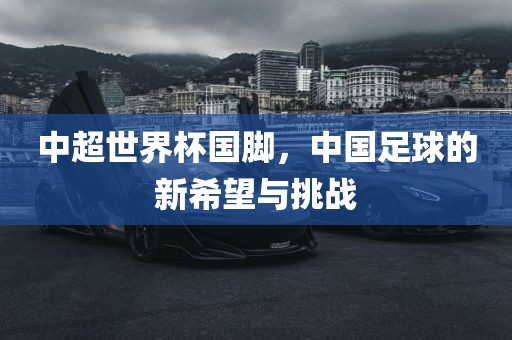 中超世界杯国脚，中国足球的新希望与挑战