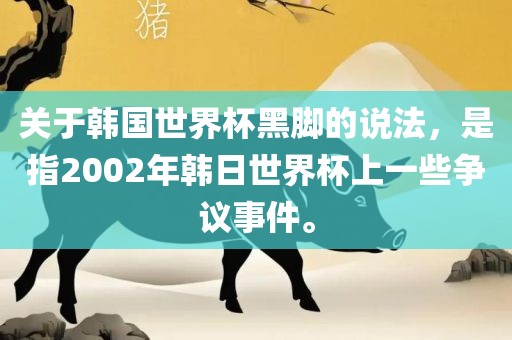 关于韩国世界杯黑脚的说法，是指2002年韩日世界杯上一些争议事件。