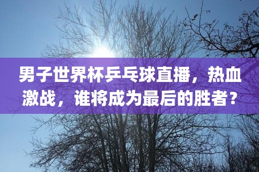 男子世界杯乒乓球直播，热血激战，谁将成为最后的胜者？