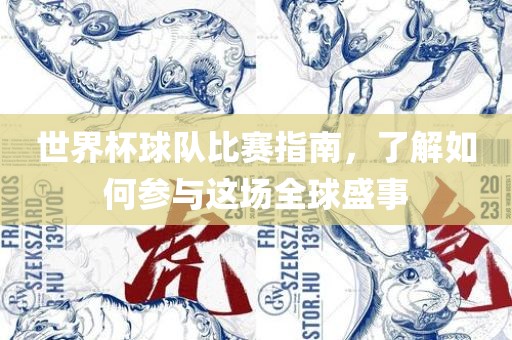 世界杯球队比赛指南，了解如何参与这场全球盛事