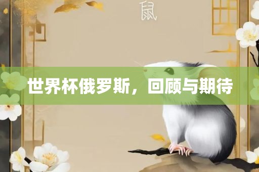 世界杯俄罗斯，回顾与期待