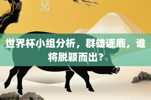 世界杯小组分析，群雄逐鹿，谁将脱颖而出？