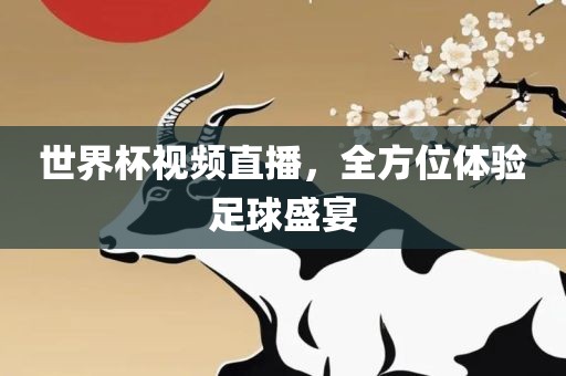 世界杯视频直播，全方位体验足球盛宴
