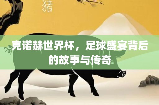 克诺赫世界杯，足球盛宴背后的故事与传奇