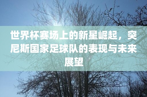 世界杯赛场上的新星崛起，突尼斯国家足球队的表现与未来展望