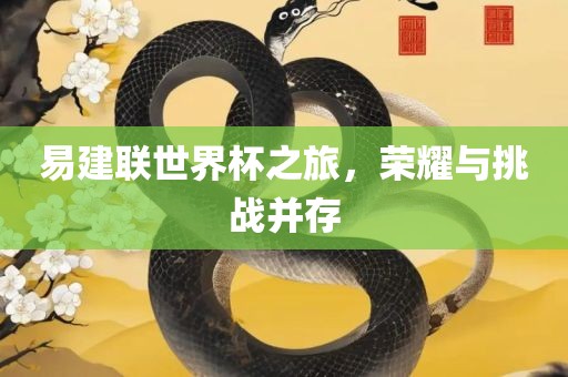 易建联世界杯之旅，荣耀与挑战并存