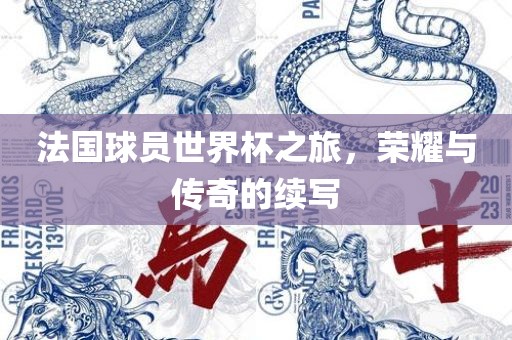 法国球员世界杯之旅，荣耀与传奇的续写